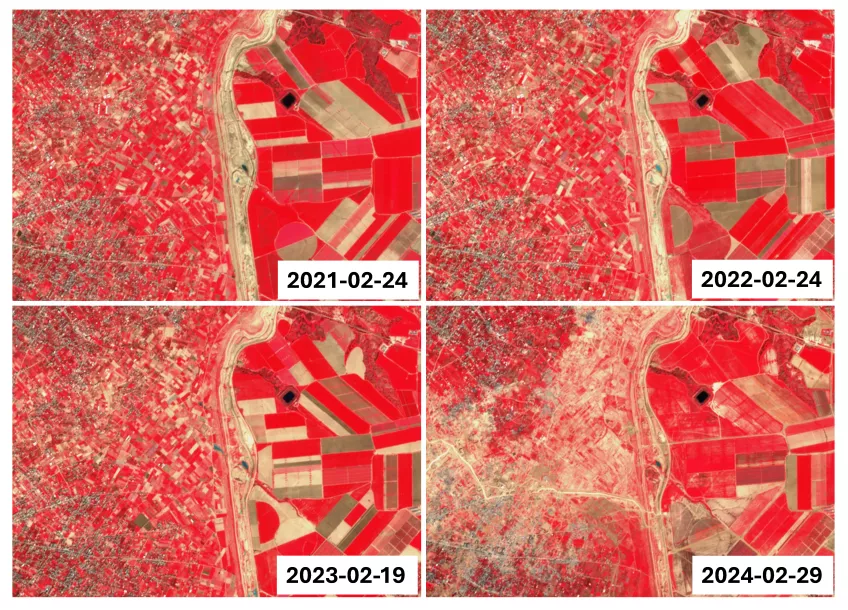 Changes in agricultural patterns near As Sureij, central Gaza (left side of each image), as captured by the Copernicus Sentinel-2 satellites, between 2021 and 2024. Agricultural fields within Israel are on the right side of each image