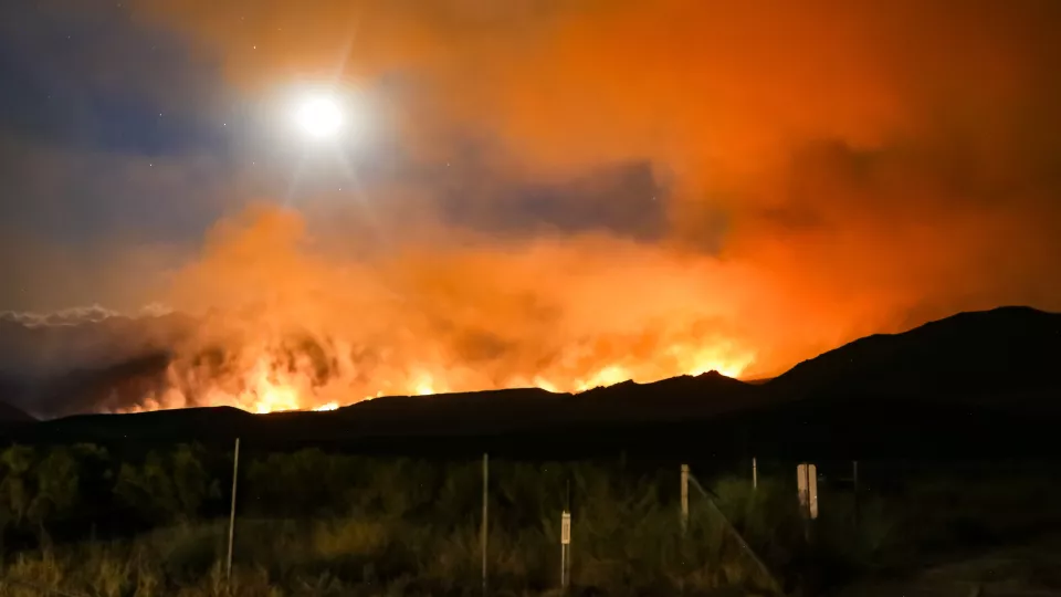 A wildfire raging on a mountain (photo)