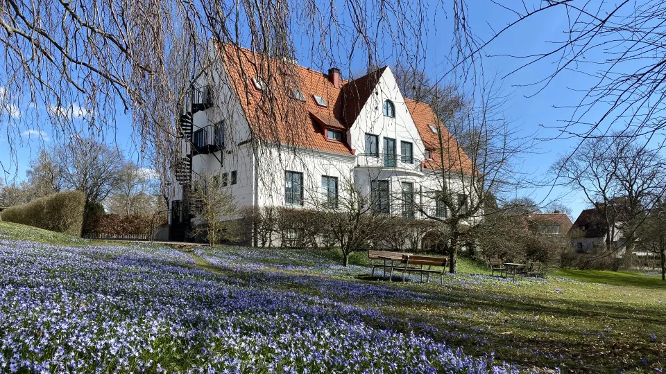 Photo of the CMES building on a lawn of blue spring flowers