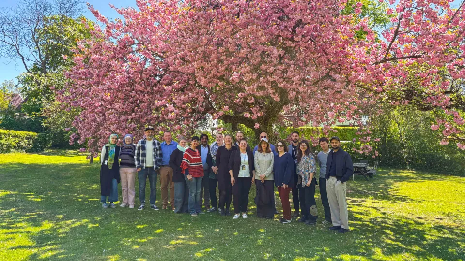 Workshop participants under the CMES Japanese flowering cherry