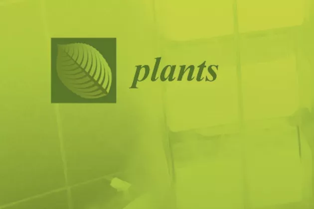 Cover of the journal Plants