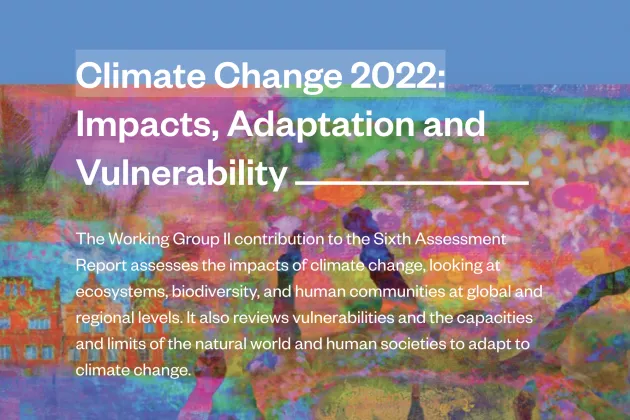 Cover of the report "Climate Change 2022: Impacts, Adaptation and Vulnerability"