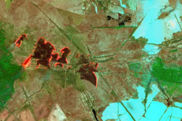 Satellite image showing fires in an agricultural area in the southwestern part of Chernobyl. 