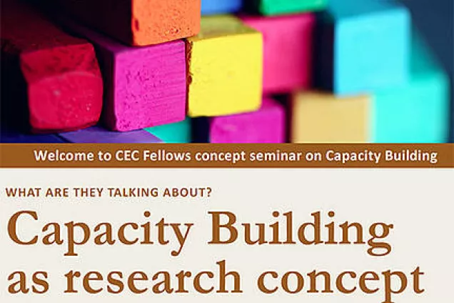 CEC Fellows concept seminar on Capacity Building